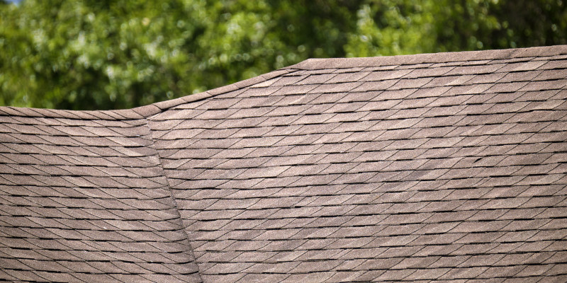 Are Roof Cleaning Services Really Necessary?