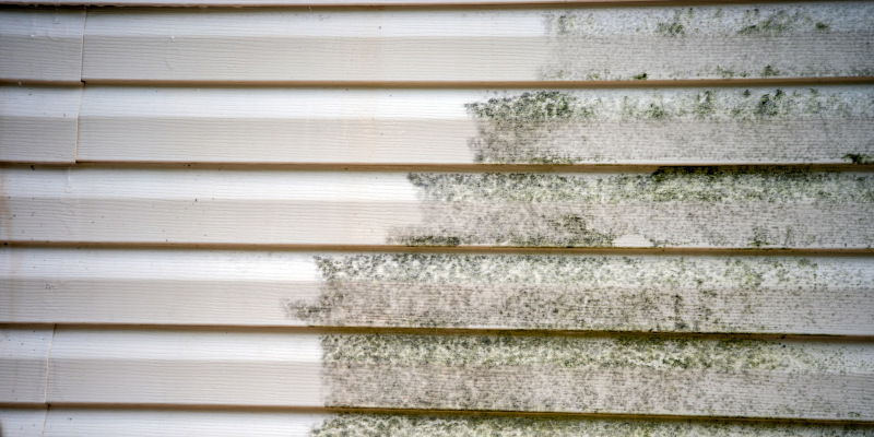 Three Benefits of Softwashing