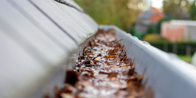 Three Signs to Hire Gutter Cleaning Services
